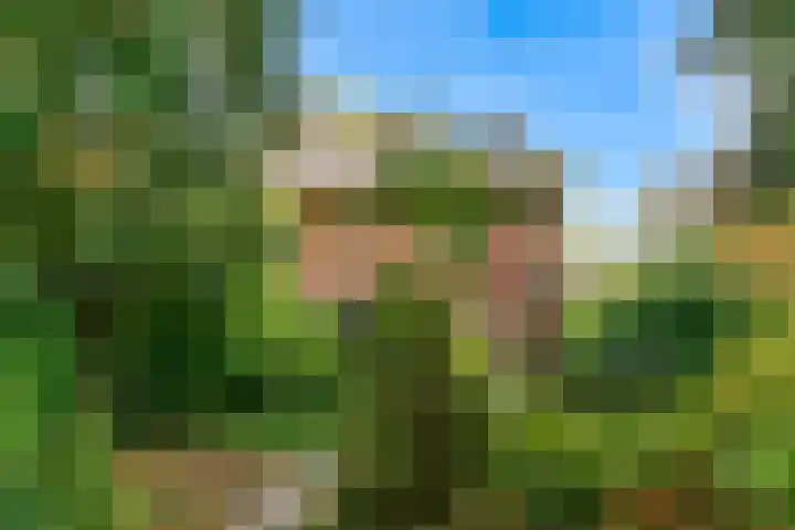 Obrechtlaan 50 Bilthoven thumbnail 67