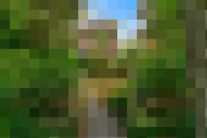 Obrechtlaan 50 Bilthoven thumbnail 7