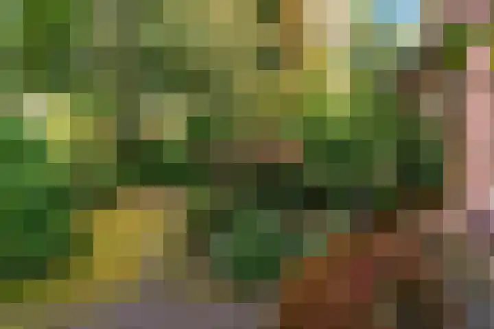 Obrechtlaan 50 Bilthoven thumbnail 8