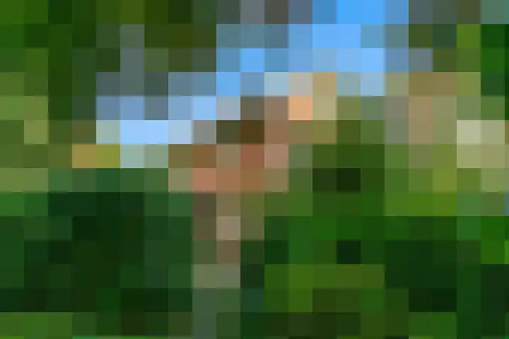 Obrechtlaan 50 Bilthoven thumbnail 9