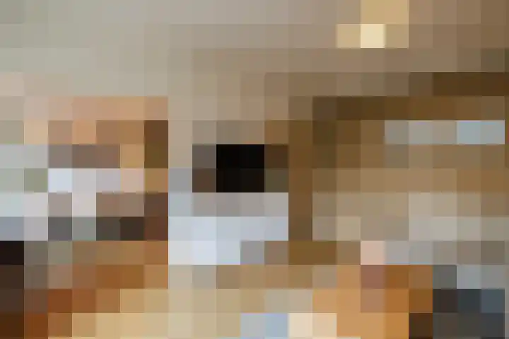 Obrechtlaan 52 Ede thumbnail 14