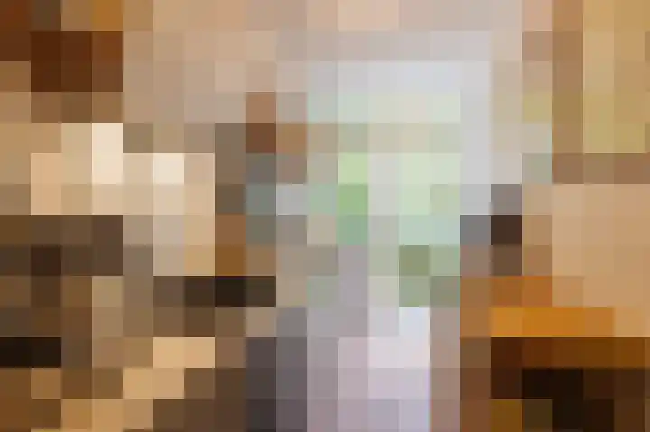 Obrechtlaan 52 Ede thumbnail 15