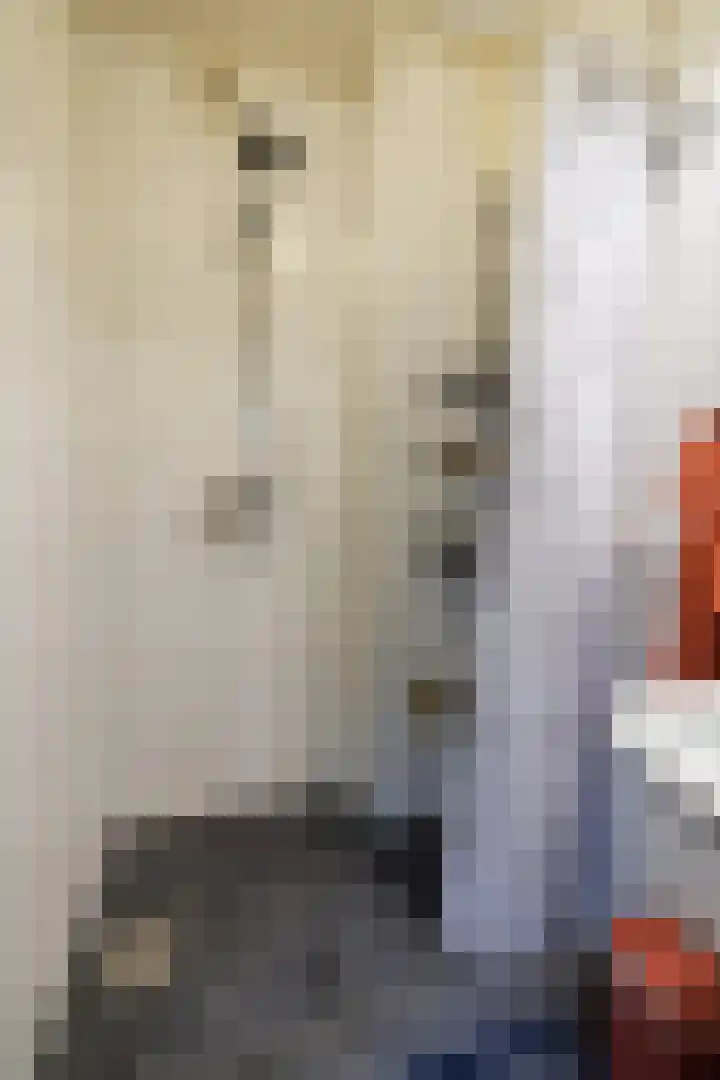 Obrechtlaan 52 Ede thumbnail 23