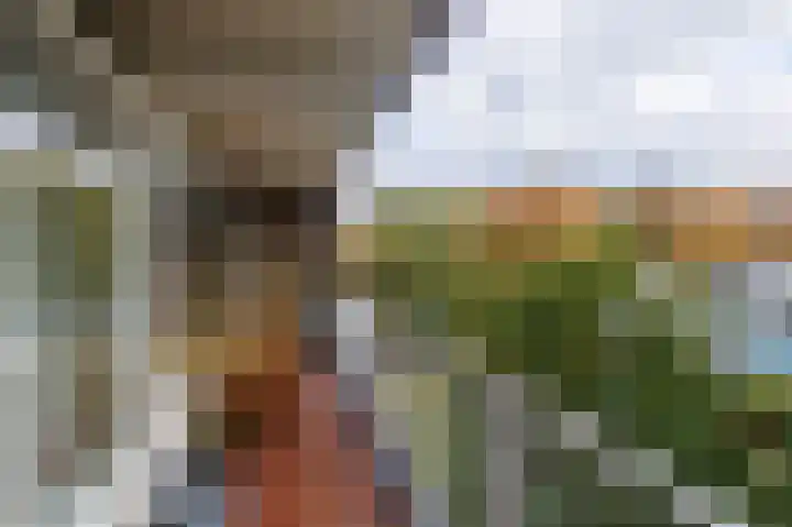 Obrechtlaan 52 Ede thumbnail 25