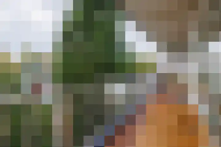 Obrechtlaan 52 Ede thumbnail 26