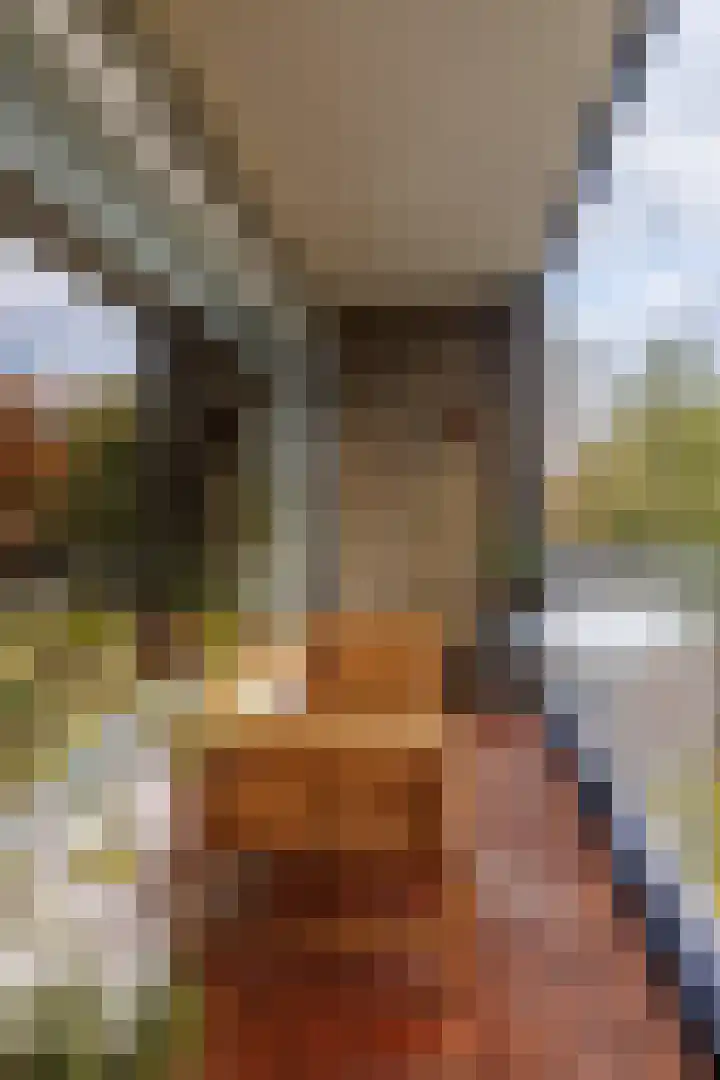 Obrechtlaan 52 Ede thumbnail 27