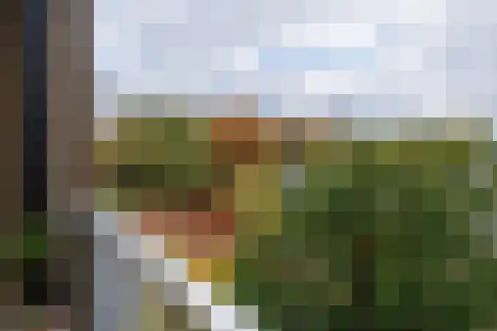 Obrechtlaan 52 Ede thumbnail 28