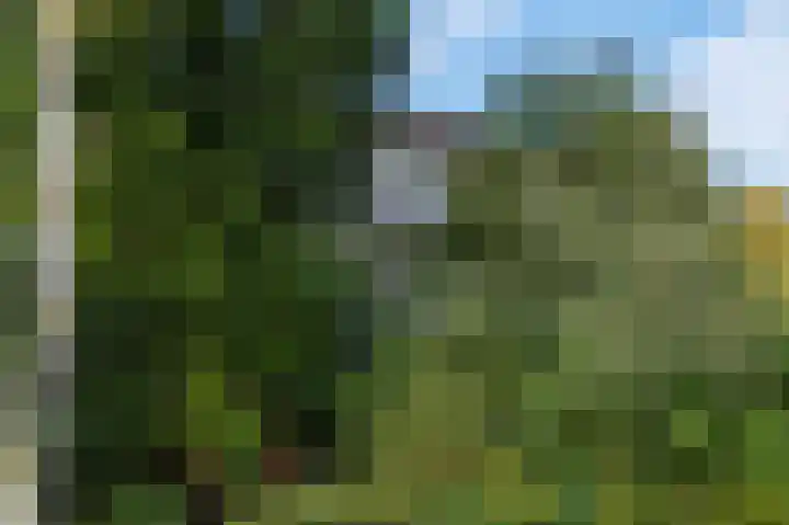 Obrechtlaan 52 Ede thumbnail 30