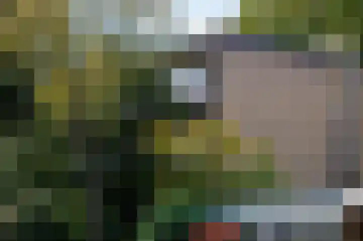 Obrechtlaan 52 Ede thumbnail 31