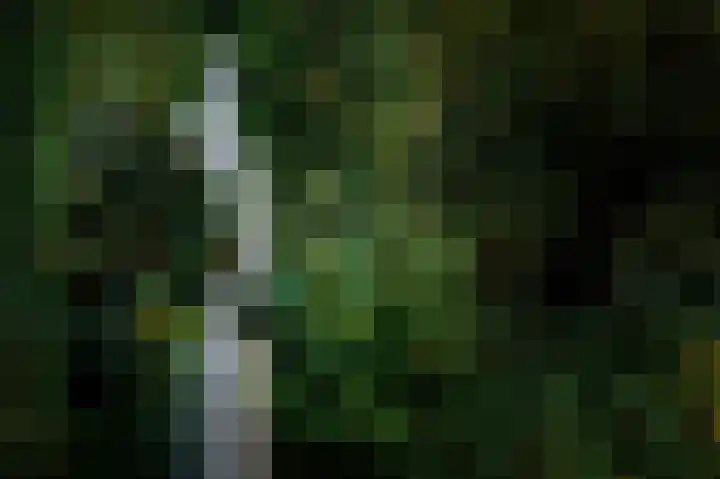 Obrechtlaan 52 Ede thumbnail 5