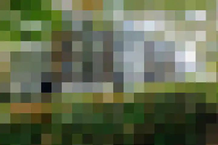 Obrechtlaan 52 Ede thumbnail 7
