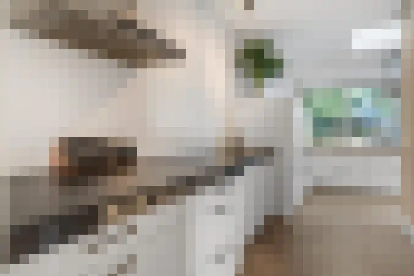 Obrechtlaan 54 Ede thumbnail 20