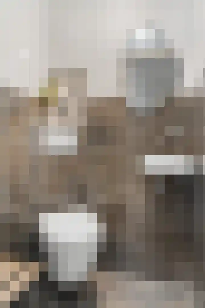 Obrechtlaan 54 Ede thumbnail 23