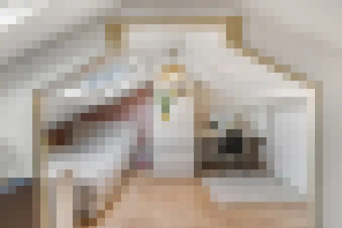 Obrechtlaan 54 Ede thumbnail 38