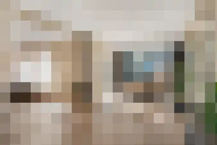 Obrechtlaan 54 Ede thumbnail 4