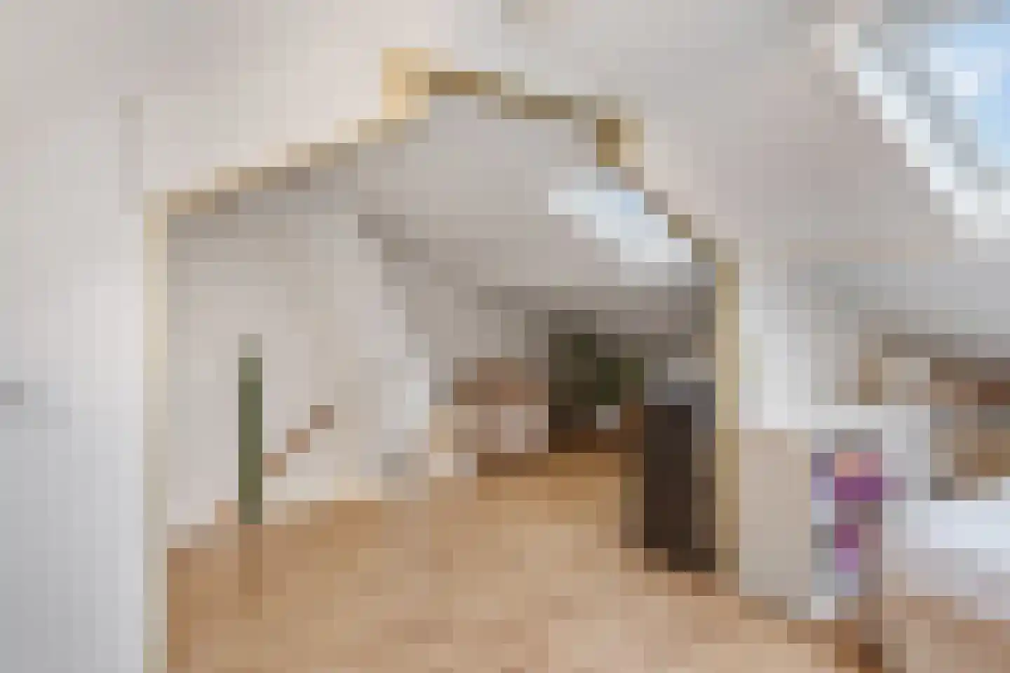 Obrechtlaan 54 Ede thumbnail 40