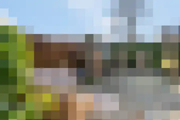 Obrechtlaan 54 Ede thumbnail 45