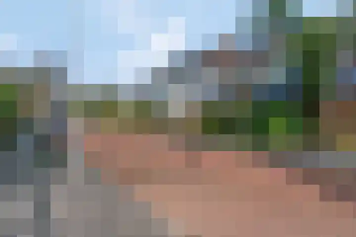 Obrechtlaan 54 Ede thumbnail 61