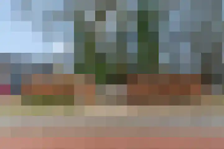 Obrechtlaan 54 Ede thumbnail 64