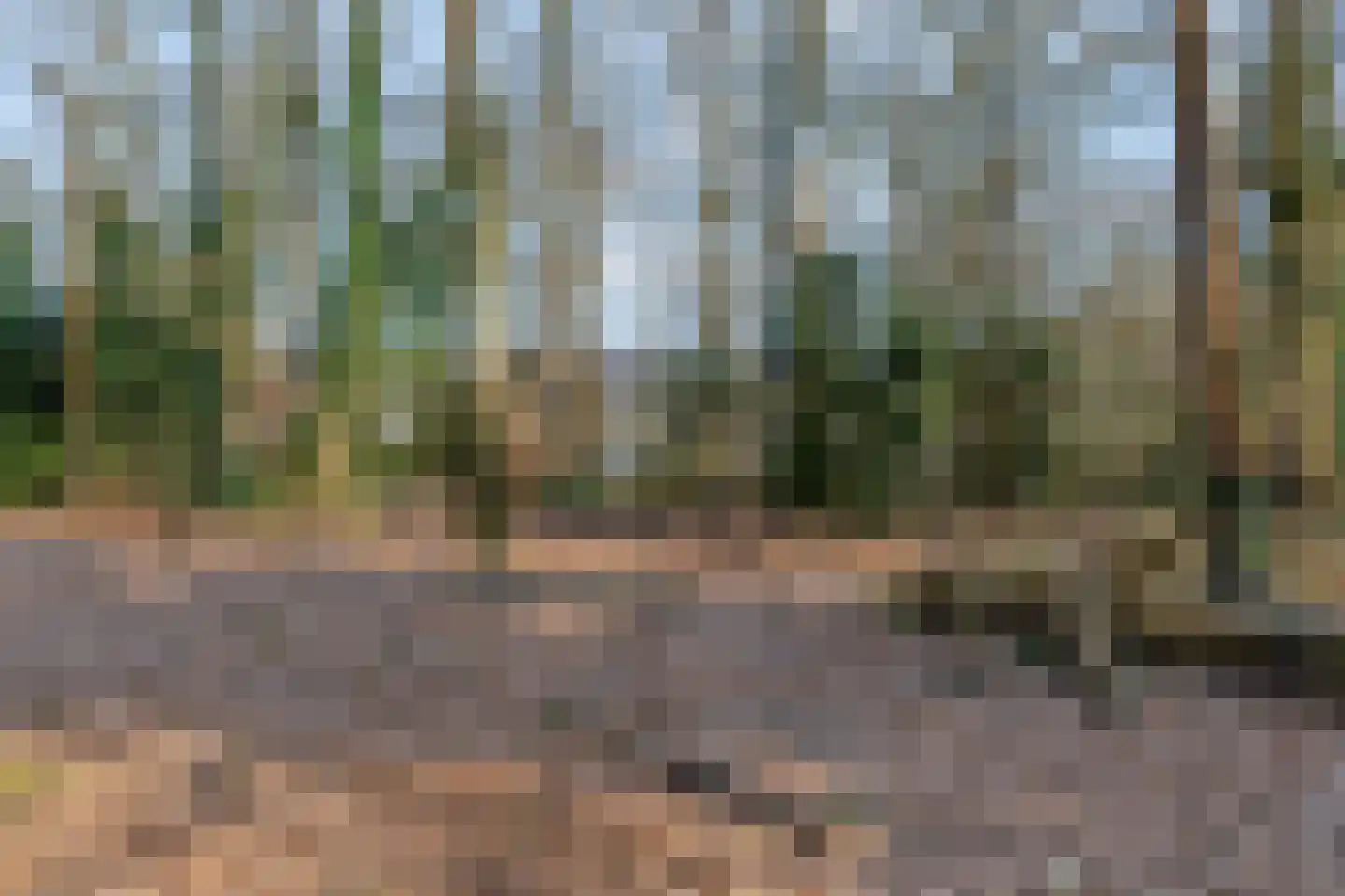 Obrechtlaan 54 Ede thumbnail 73