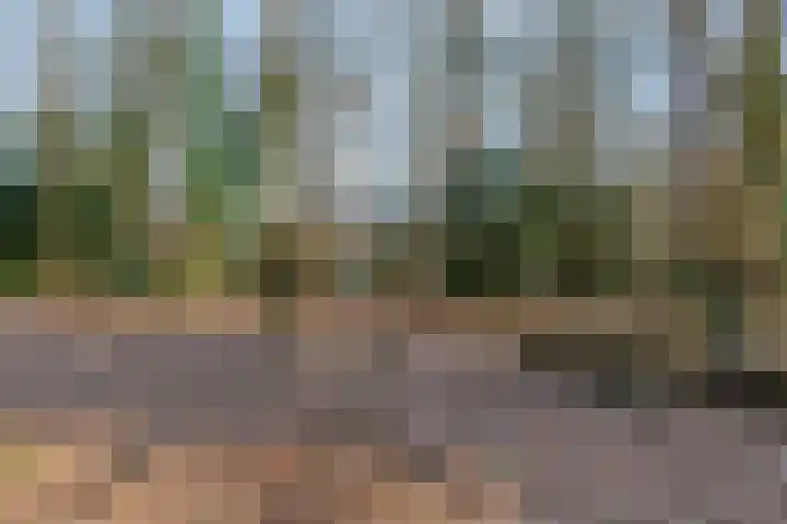 Obrechtlaan 54 Ede thumbnail 73