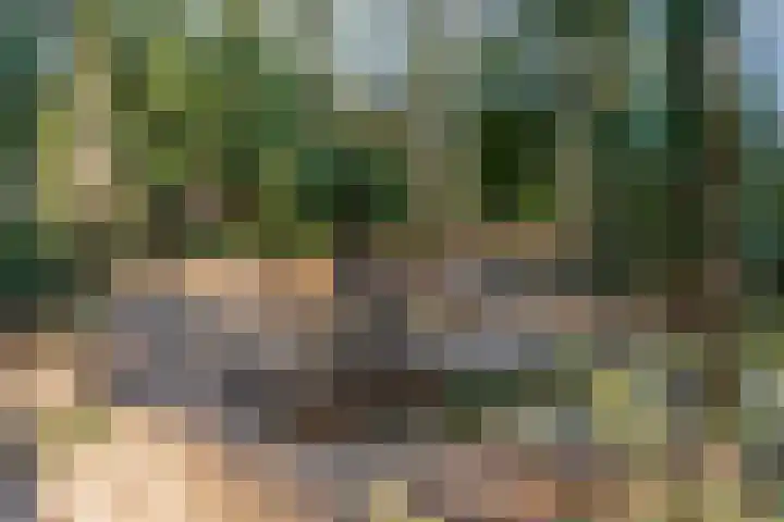 Obrechtlaan 54 Ede thumbnail 74