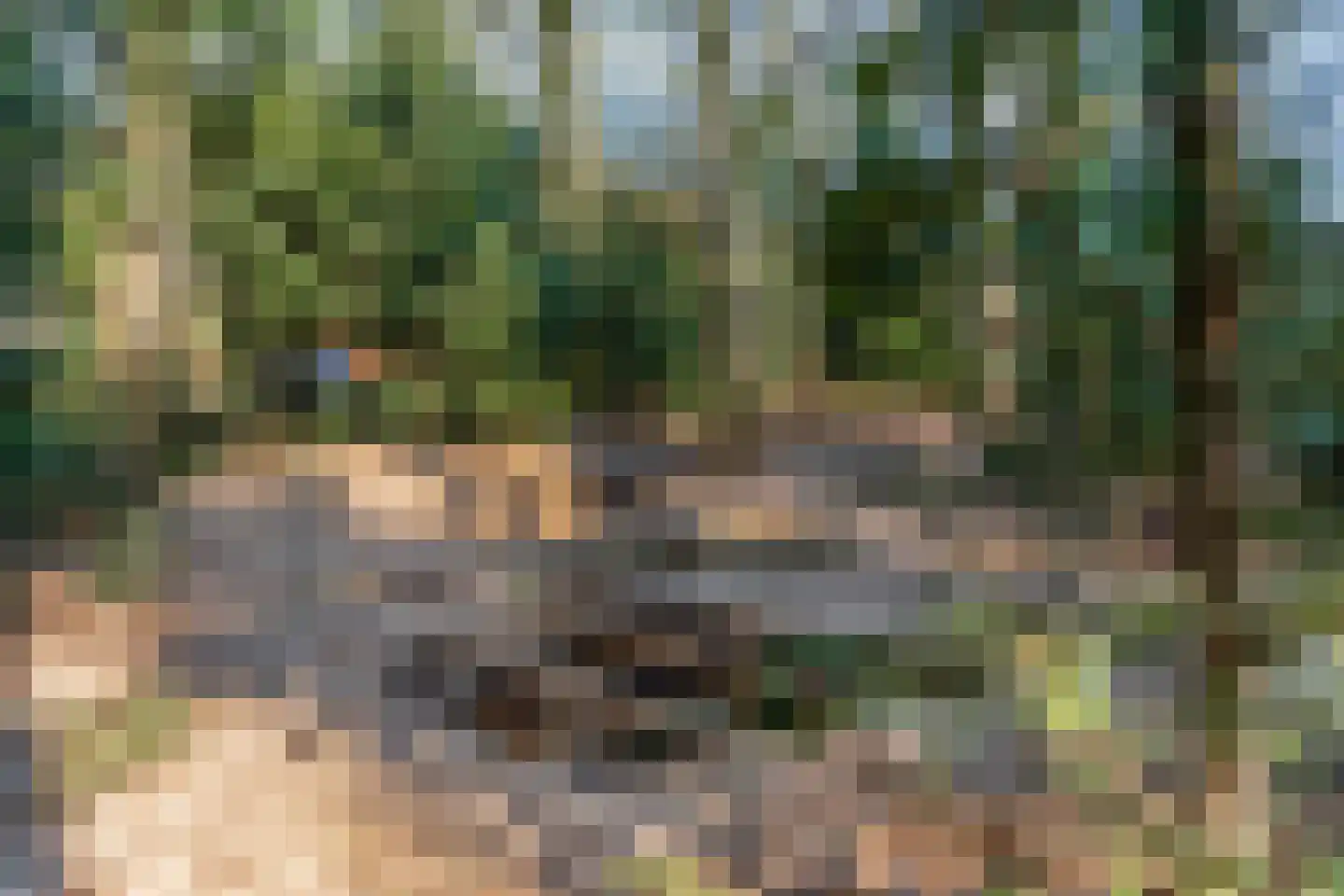 Obrechtlaan 54 Ede thumbnail 74