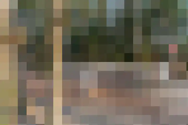 Obrechtlaan 54 Ede thumbnail 77