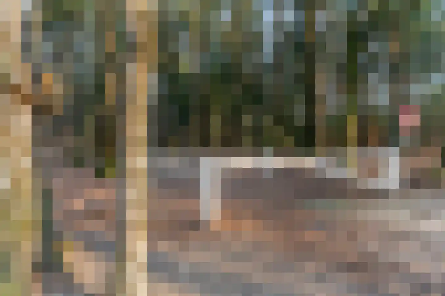 Obrechtlaan 54 Ede thumbnail 77