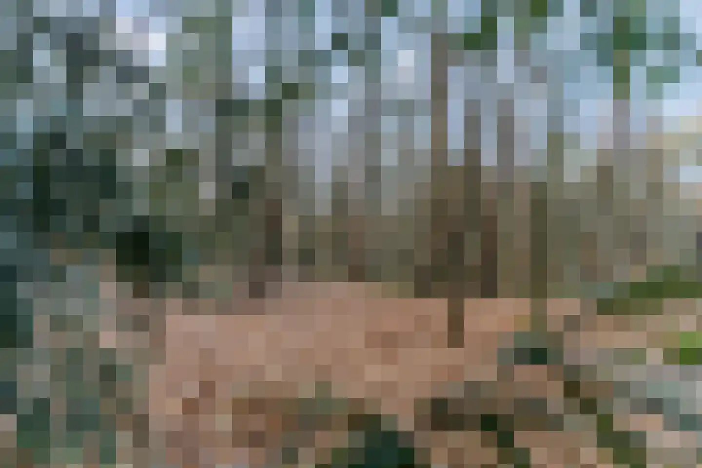 Obrechtlaan 54 Ede thumbnail 78