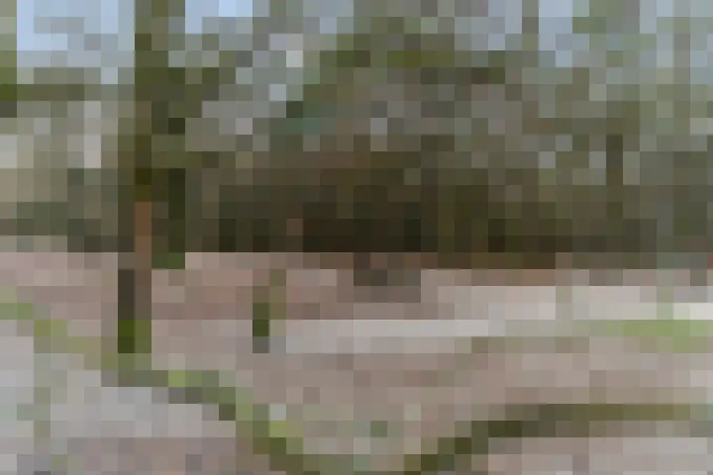 Obrechtlaan 54 Ede thumbnail 79