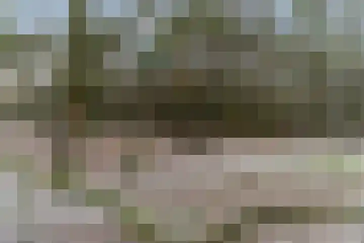Obrechtlaan 54 Ede thumbnail 79