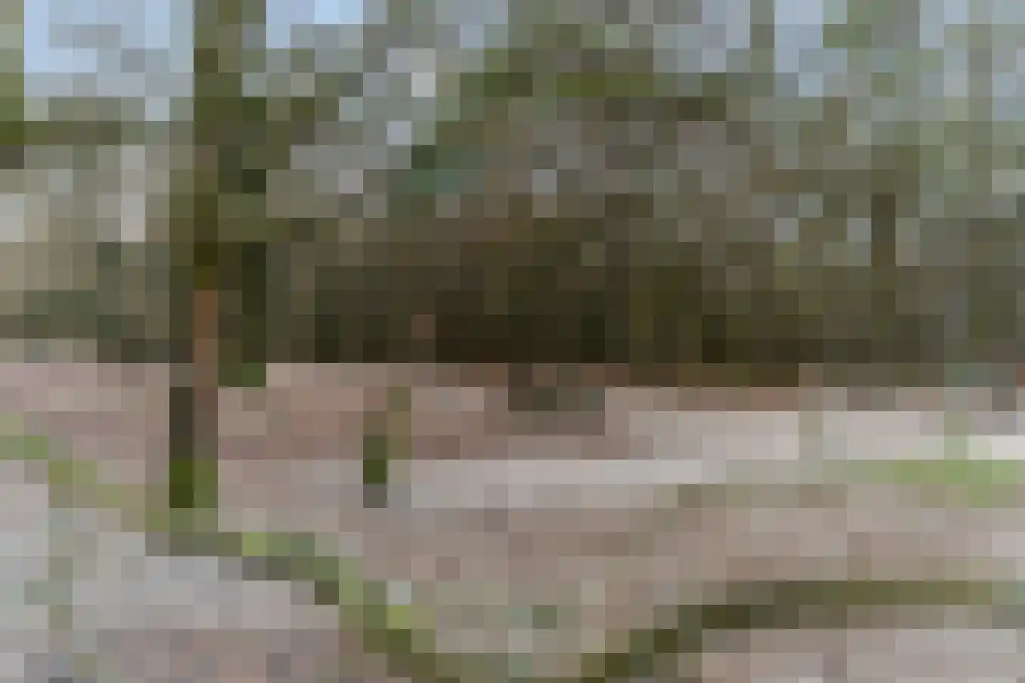 Obrechtlaan 54 Ede thumbnail 79