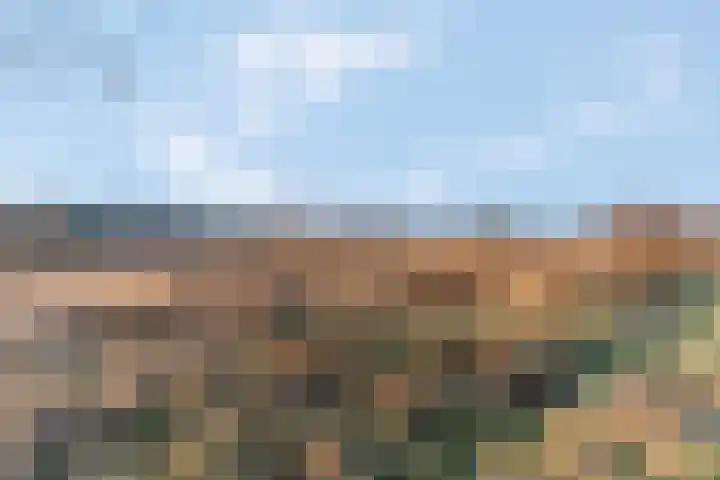 Obrechtlaan 54 Ede thumbnail 81