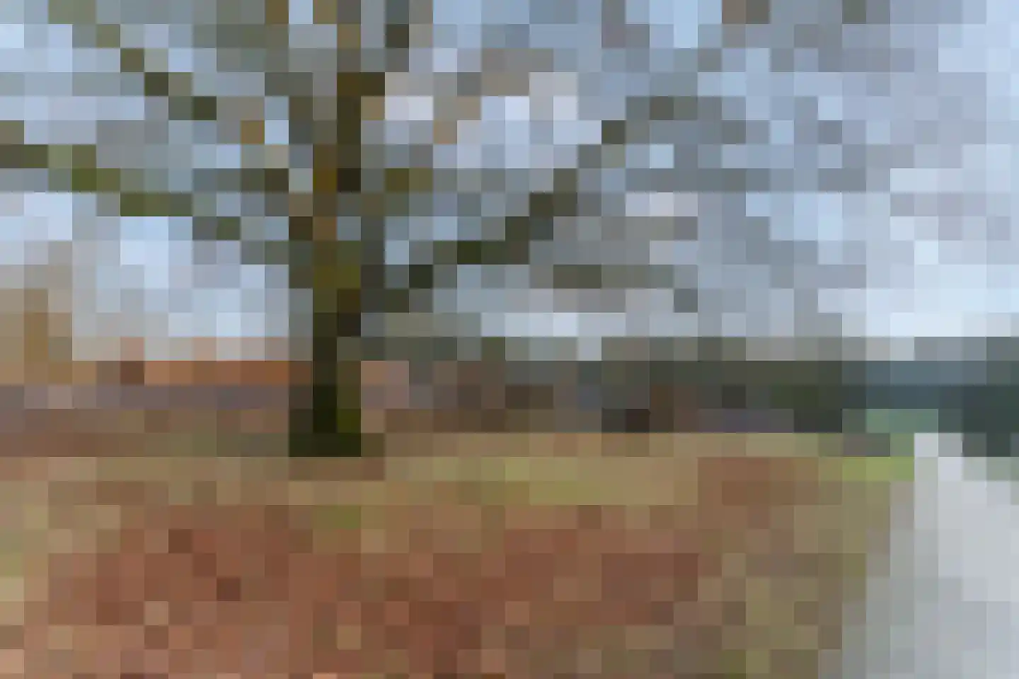 Obrechtlaan 54 Ede thumbnail 82