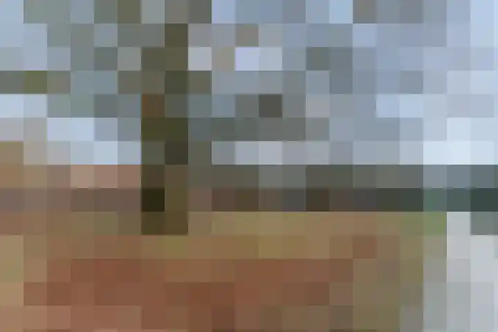 Obrechtlaan 54 Ede thumbnail 82