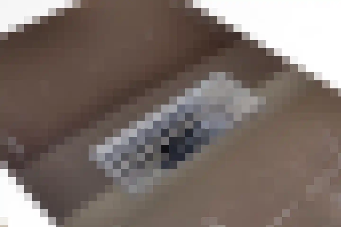 Obrechtlaan 6 Eindhoven thumbnail 12