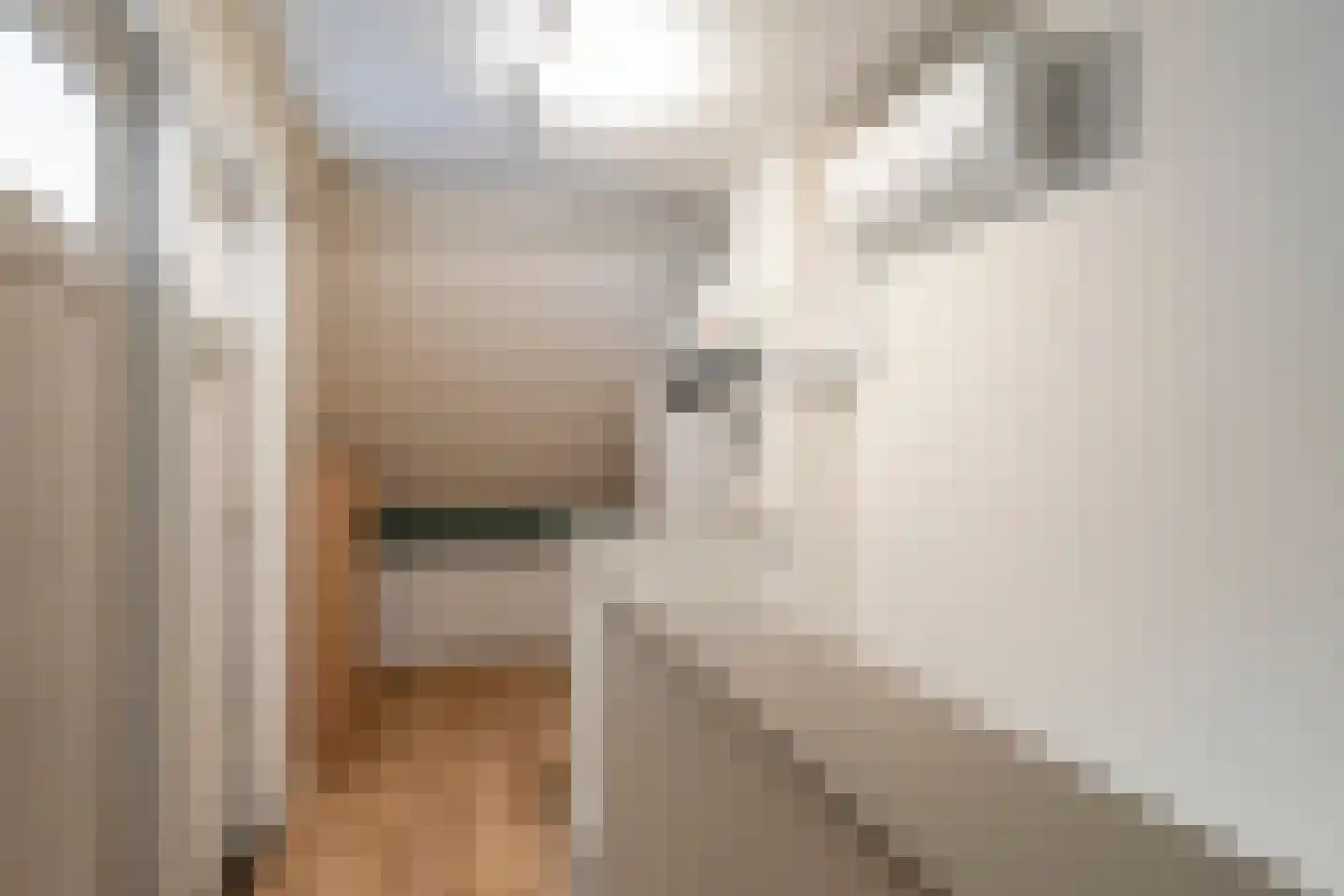 Obrechtlaan 6 Eindhoven thumbnail 23