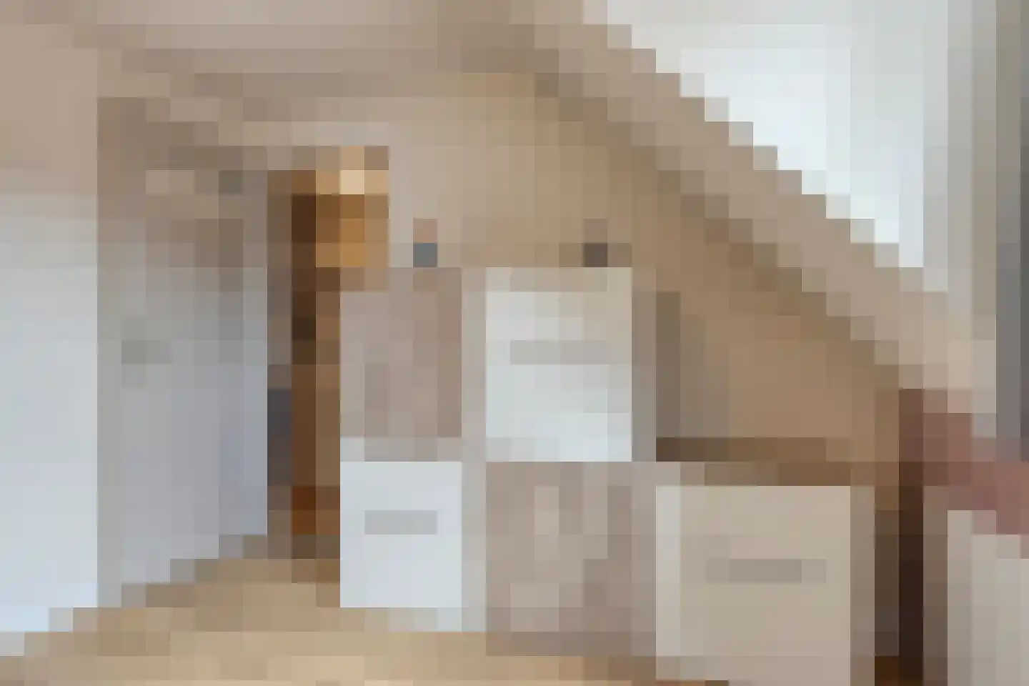 Obrechtlaan 6 Eindhoven thumbnail 25