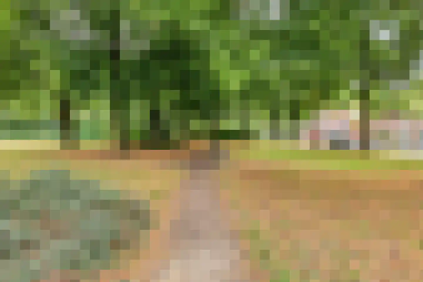 Obrechtlaan 6 Eindhoven thumbnail 33