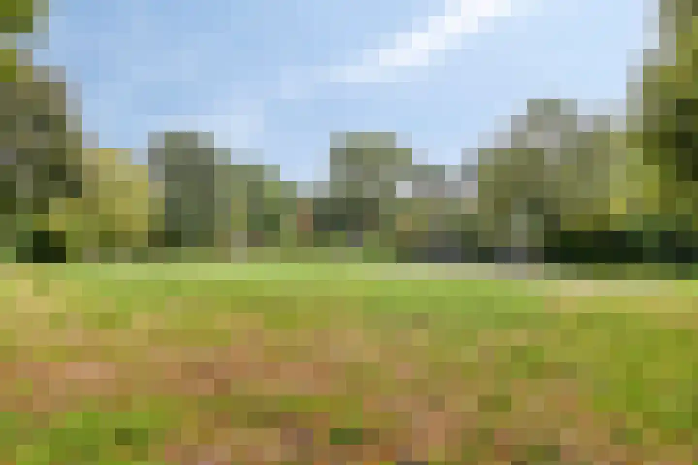 Obrechtlaan 6 Eindhoven thumbnail 34