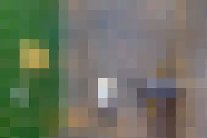 Obrechtlaan 72 Assen thumbnail 15