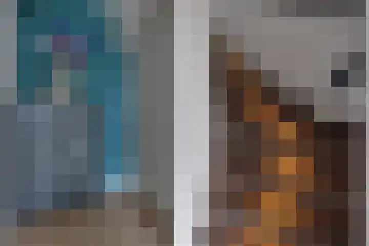 Obrechtlaan 72 Assen thumbnail 16