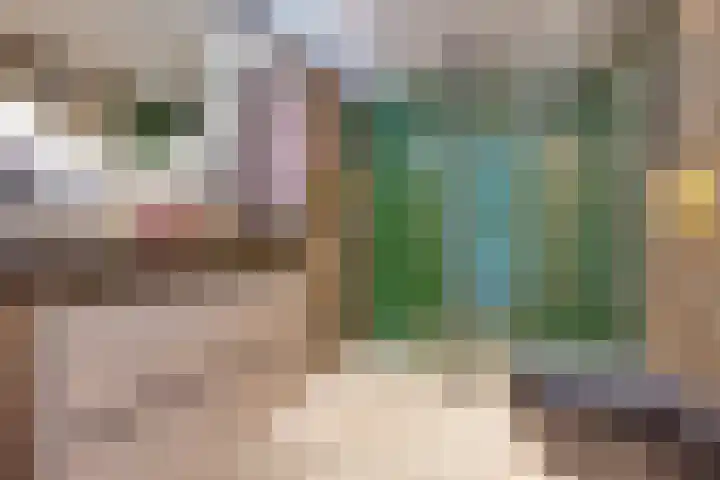 Obrechtlaan 72 Assen thumbnail 25