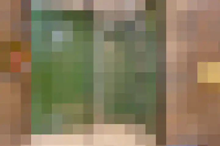 Obrechtlaan 72 Assen thumbnail 26