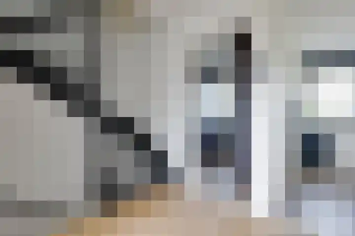 Obrechtlaan 72 Assen thumbnail 27