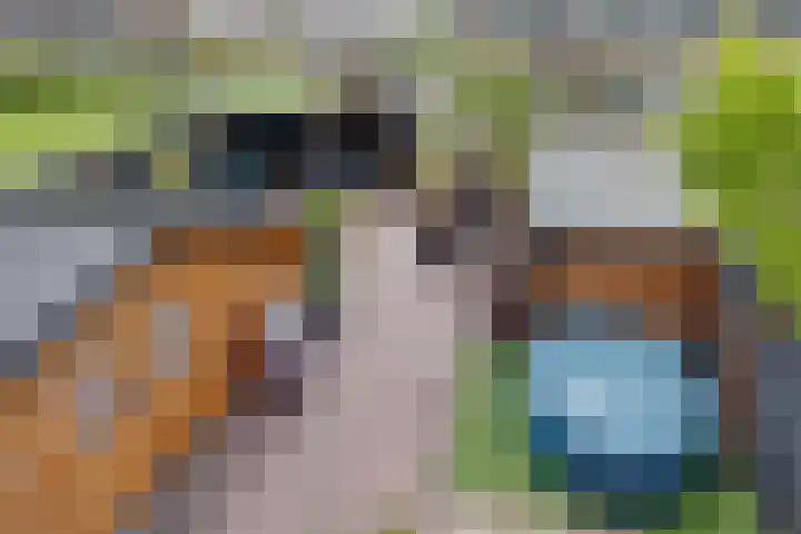 Obrechtlaan 72 Assen thumbnail 29