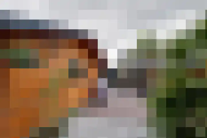 Obrechtlaan 72 Assen thumbnail 30
