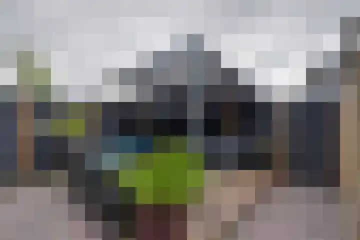 Obrechtlaan 72 Assen thumbnail 31