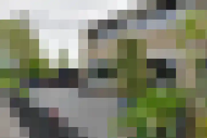 Obrechtlaan 72 Assen thumbnail 37